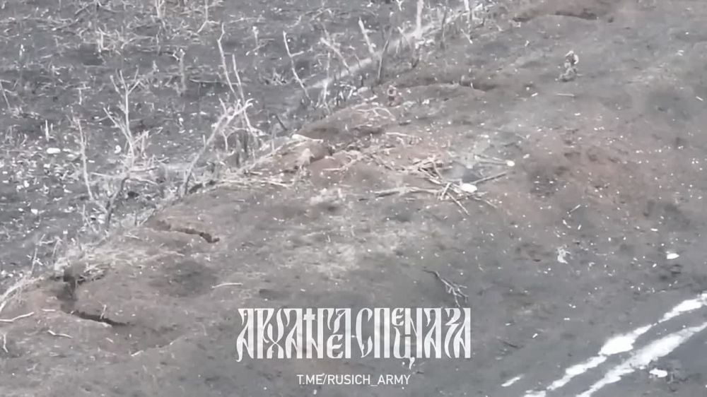 ����� �����: ���������� ���������� �� ��� � ������� ����