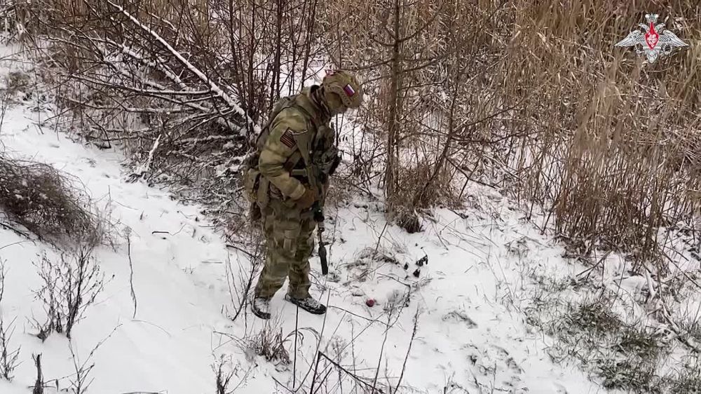 �� ����������� ��� ������� ���������� 15-� ������� ������������ ������ �������������� ��������� �� ������� ������� (������), �������� �� �������