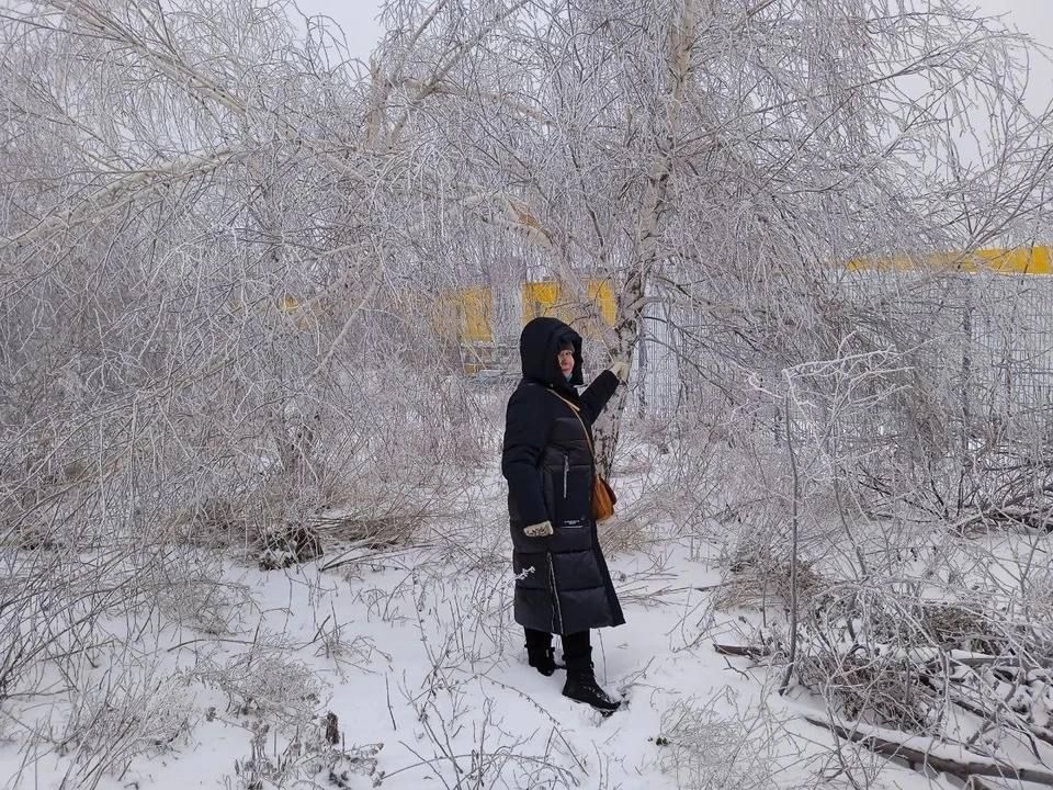 ������� �����, ������ �����, ����������� �����: � ������� ����� ��������� ����