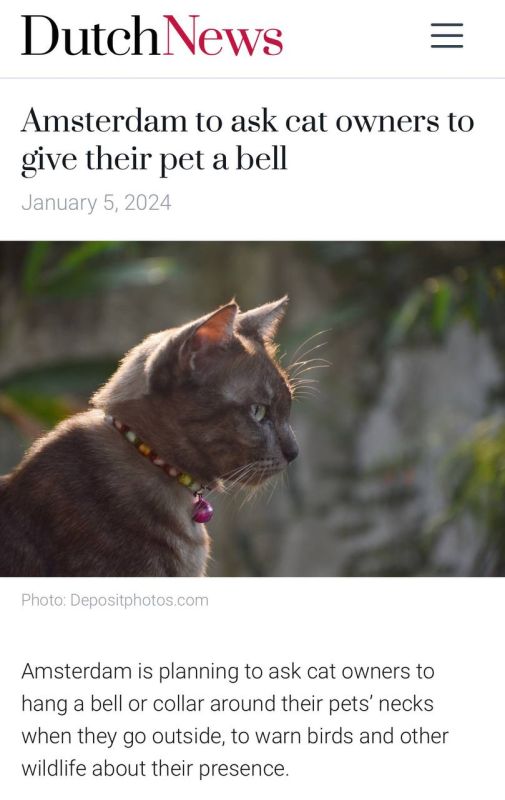 ������ ��������: ��� ��� ����� ������������� ������, �� ������� ����� ��� ��������������!