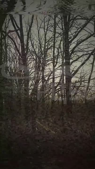 ���������-�������� ���������� � ���� �� ��������� ����