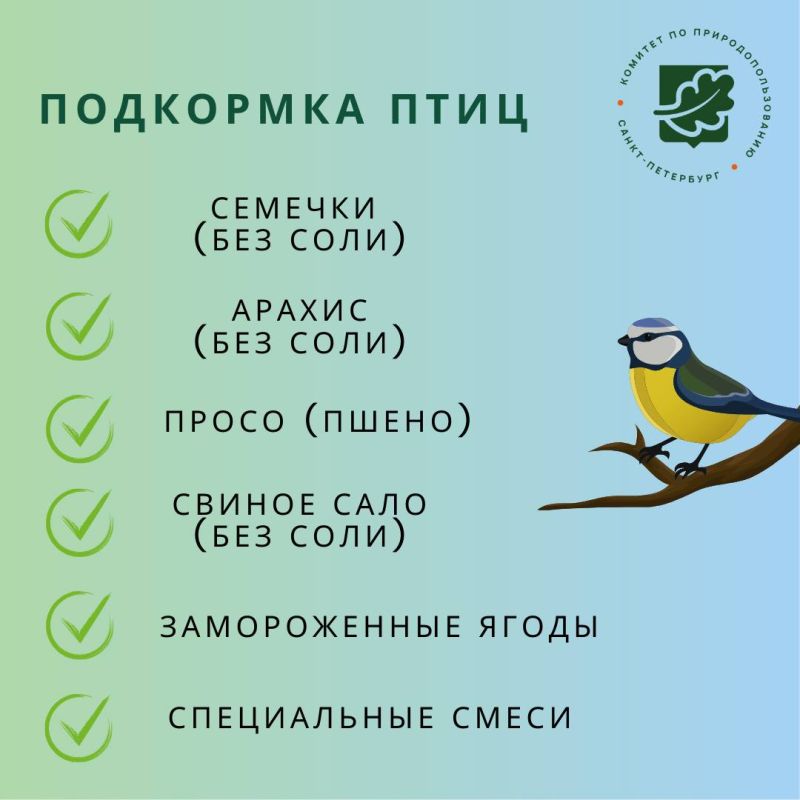 15 ������ � ���� �������� ���� ������