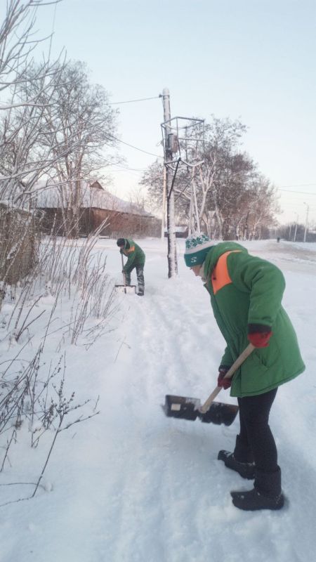 ���� �����������: ������ ������������ ����������� ������������ ������ ���������� �� ����� � ������ � �. �������