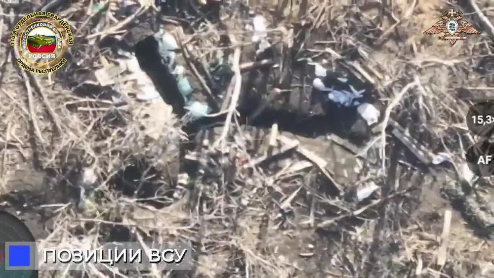 ��������� �������: ����� 110 ������� �������� ������� �����