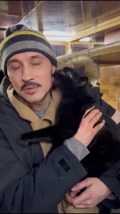 ���� ����� ������� � ��� � ����������������� ������