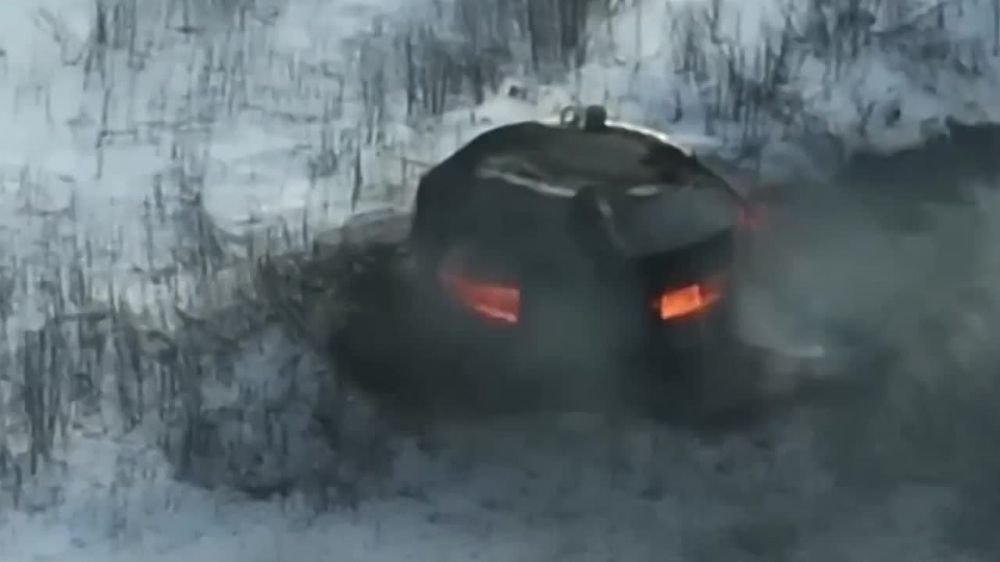 ����� �����: ������������ ��� ��� ������-�������� ���������