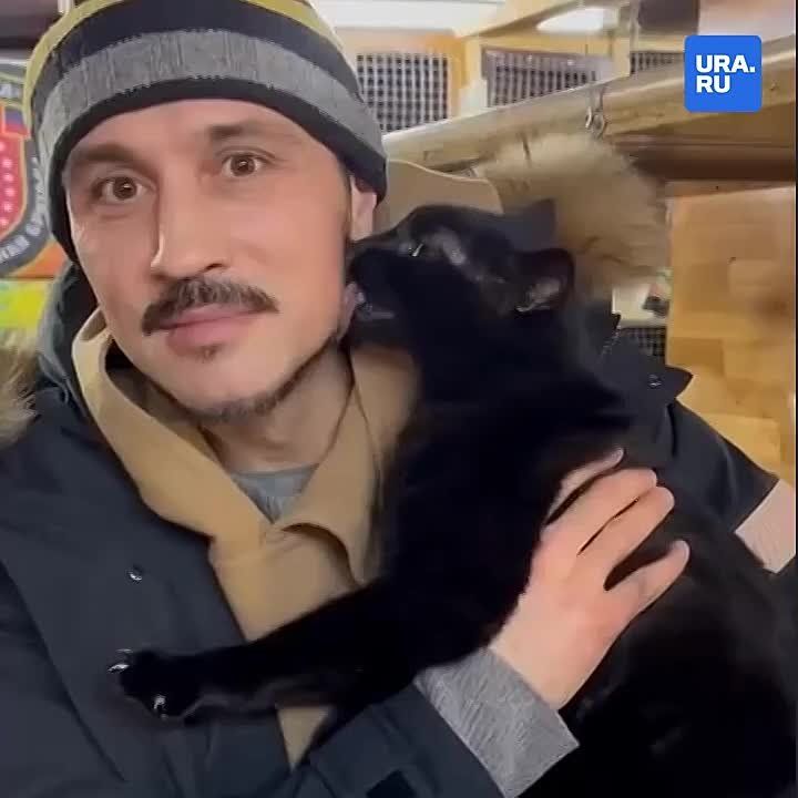 ���� ����� ������� � ������ � ������ ���� �� �������� ������ � ���� �����