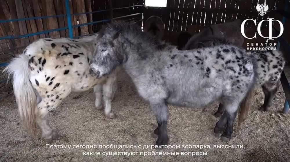 ������� ����������: � �������������� ������ ��������� ���������� ������� � ������� �����������, �� ������� ������� ����� 20 ����� ������, ����, �������������� � ���. �������� ���������� � ����� ������� ��� ��������������� �����������