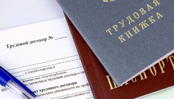 С 2024 года трудовые договоры между работниками и физическими лицами, использующими наемный труд, центрами занятости не регистрируются, сообщил зампред Правительства ДНР Владислав Васильев