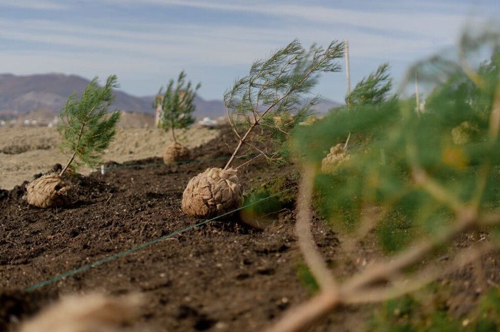 ��� ���������� ������� ������� ��� ������� � �������� �������� ��������