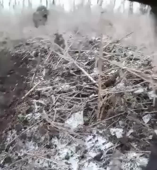 ���������� ��: ���������� ���������� ������� �������� ������� ������� ��� � ������-������ �� ����������