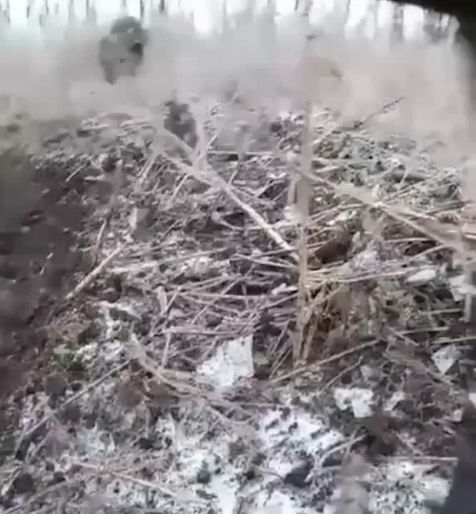 ���������� ���������� ������� �������� ������� ������� ��� � ������-������ �� ����������