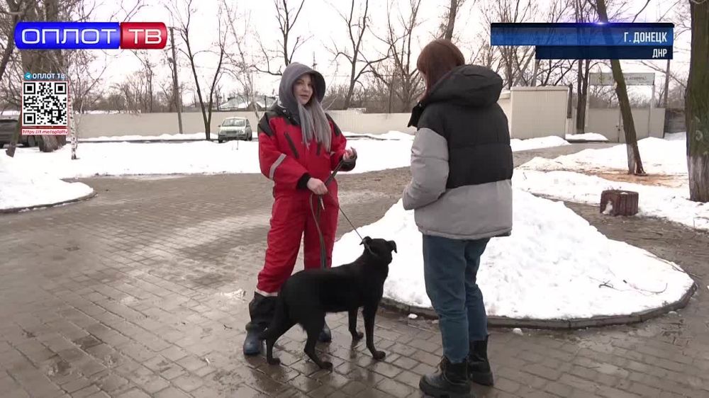 ���������� ������ ���Ի - ��, ��� ������� ��������