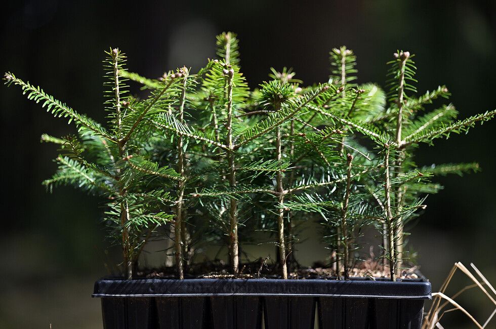 ��� �� ������� ��� �������� 400 �������� ���� ������ ������������� ������