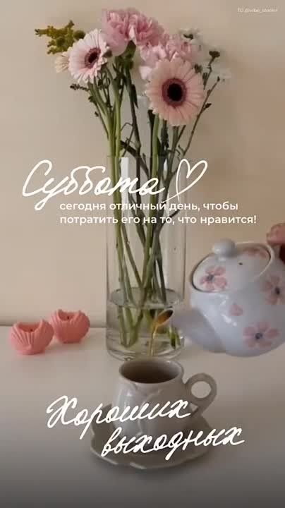 ������ ����!. ������� �������, ������� ������! ����������� ���� �������������