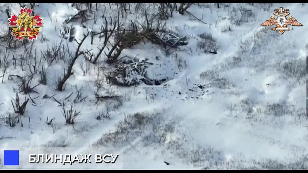 ���� �������: ������ ���������� ���� 1-�� ��������� ���������� ������� �� ����������� �������� ������������