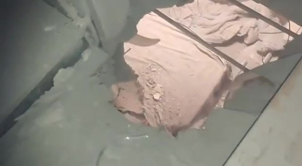 ������ ��������: ������������� ������� ���� �� ������ �������� ���������� ������������ ���������� �������