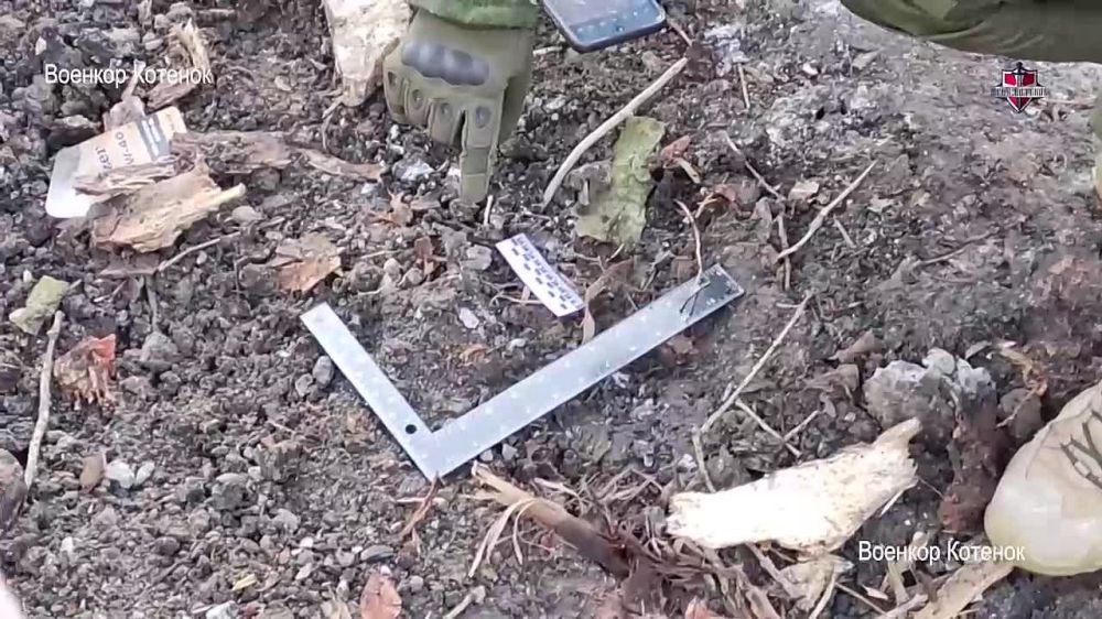 ���� �������: ��� �������� �������� ����� �� ����� � �������