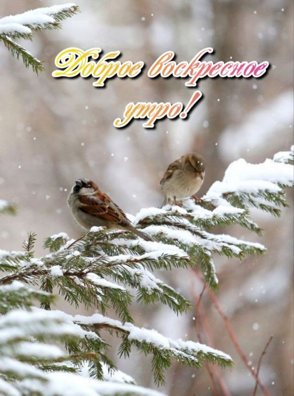 ����� � ���� ���� � ��� ����� ������ ��� �������, ����� ��� ������ � ����� ��� �����!