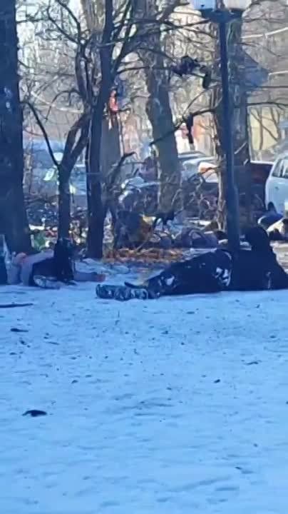 ���� ��������: . ���������� ������� ����������� ����������� � ������� - ��������� ������������ ����������� ���