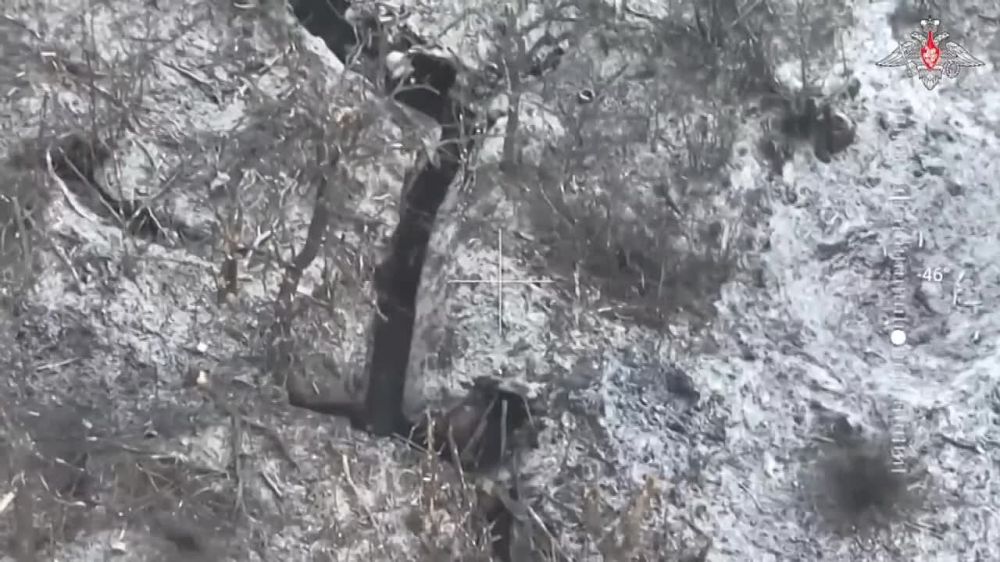 ���� �������: ����� ����������� �������� � ���� ����������� �.�. ������� (���)