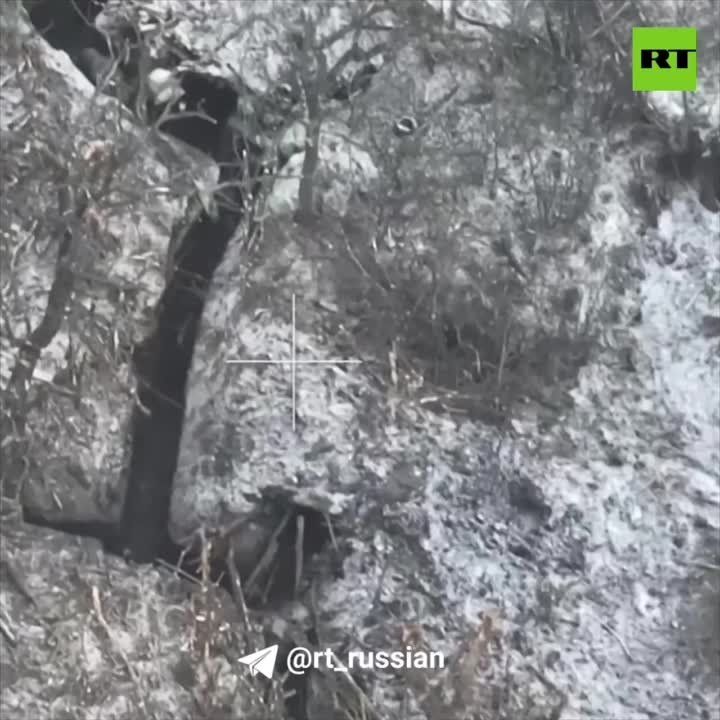��� �������� ����� �������� ��� �� ����� ������������ ���� ������� � ���