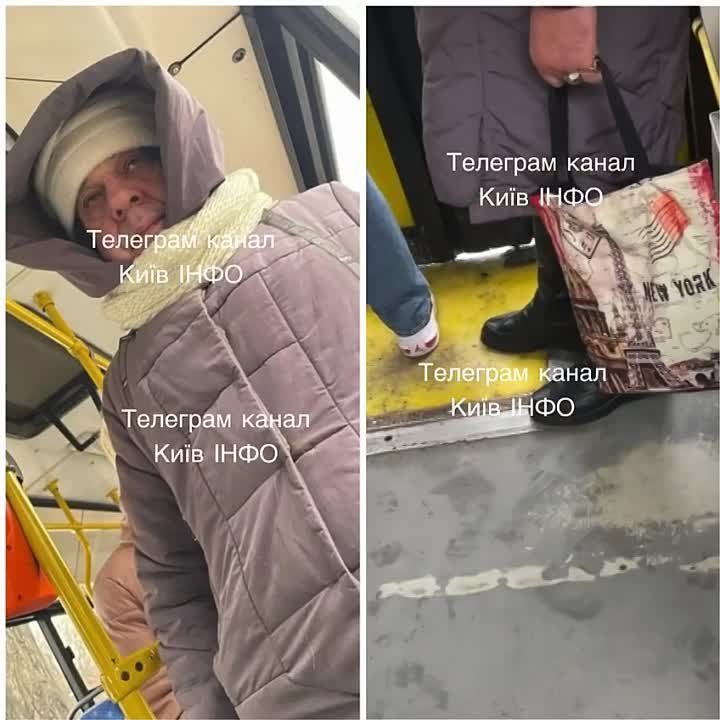 ���������� � �������� �����������
