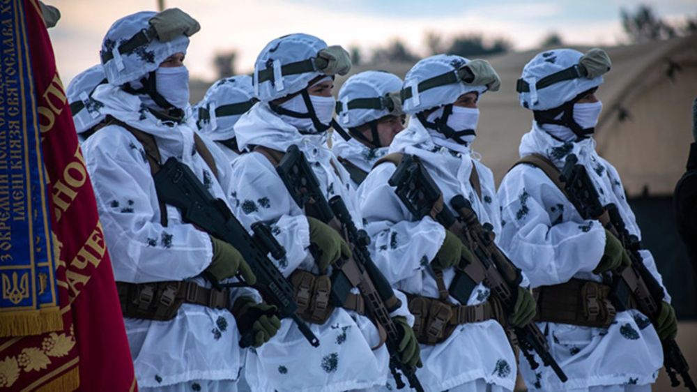 Президентский полк брошен в Авдеевку: НАТО отправит войска, о которых не пишут в сводках