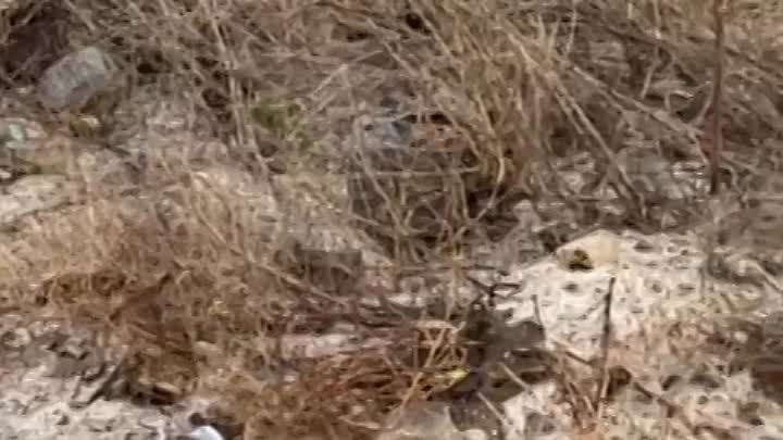 ����� �� ���������� � ��������