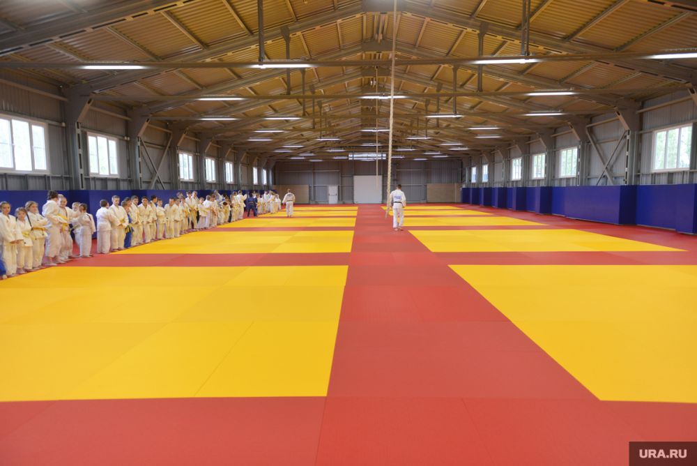 ���� �������� ������������� � ���������. ����