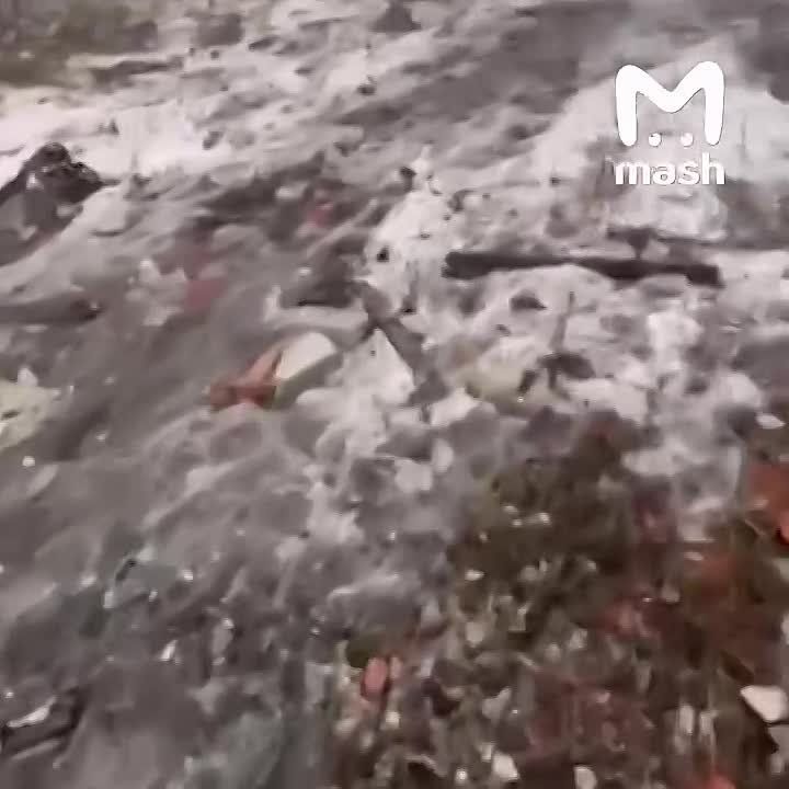 ������ ������� ���������� ������������� ���������� ���������� � ��������