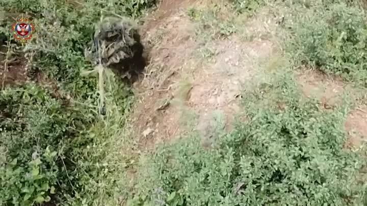 ������� ������ �����: ������� ���������� ����� � ���������