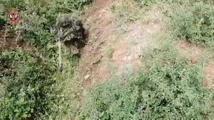 ����� �����: ����� ������ ����������� ���� 58 ��������� �������� "�������" �� ����������� �����������