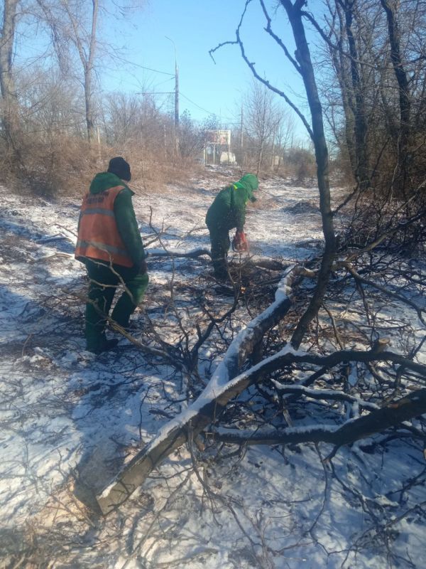 ������� ������: ��������� �������� ����� ���������� �������������� ���������� ����������� "���������� ������������ ������" ����������� ������ �� ������ � ������ ����� �� ��������� ������