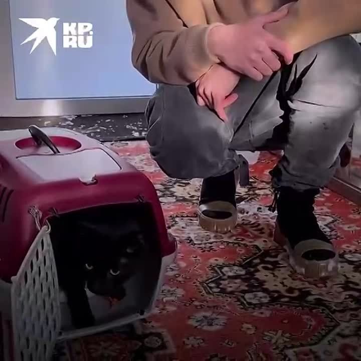 ��� �� �������� ���������� ���� � ���� ������