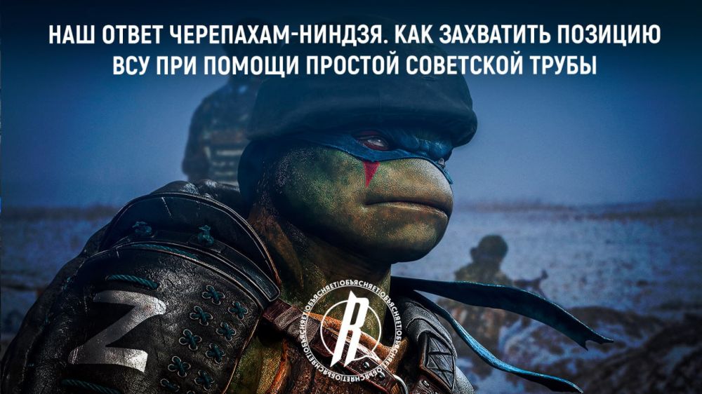 ��� ����� ���������-������