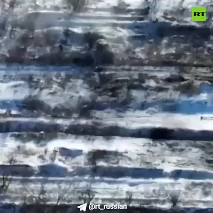 ��������� � ���������� �����������