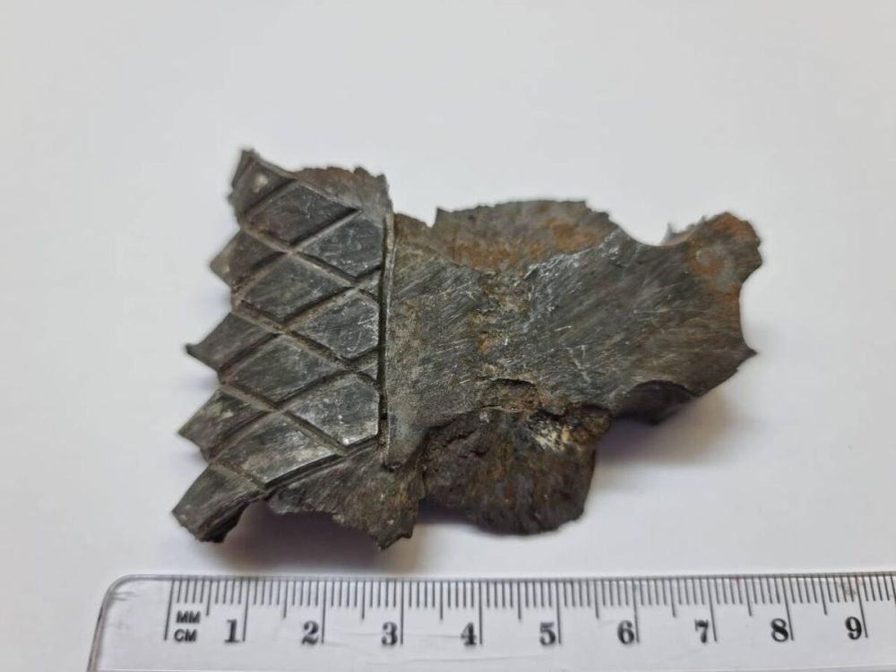 �������: ��� 60 ��� �� ����� ���������� ������ ������������ �������