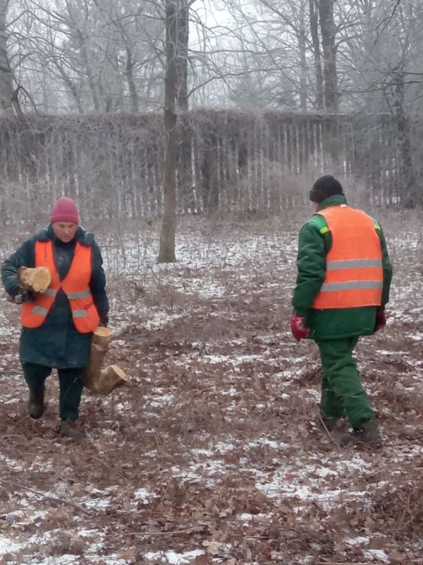 ������� ������: �������, � ������ ���������� ����� ������� �������, ������ �����������, ����������, ����������� ������������ ������ �. ������� ������������ ������ � ��������� ������� � ������