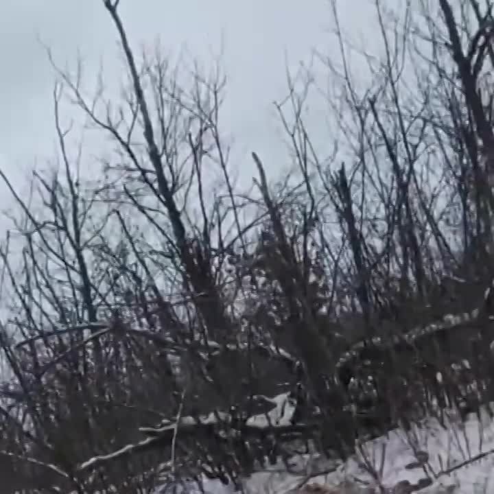 ��������� ����� ���� ��������� �������� �� ������� ������ "������� �����" �� ���������� �����������