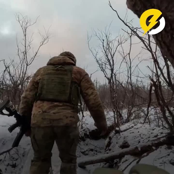����� ���������� ������ �������� ������ ����� ������� ����������� ���������