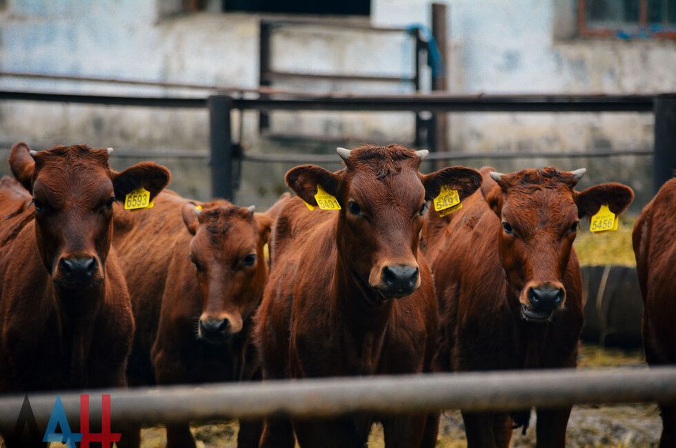 ������� � ���������� � ���� ���� �������� 3,8 ���� ������ ��� �������� �������� �����