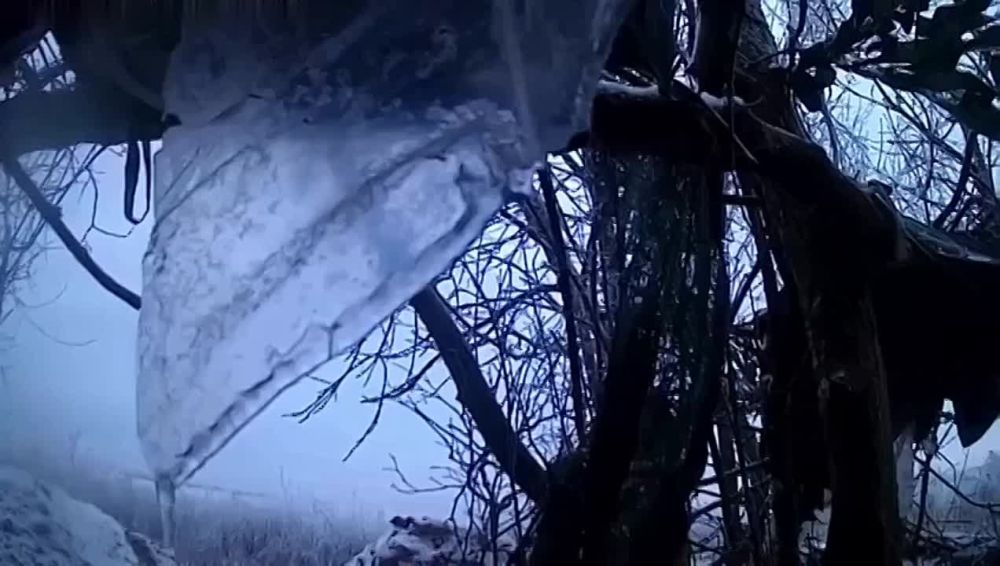 ��� ���� ������� FPV ���� ����� ����������� ������