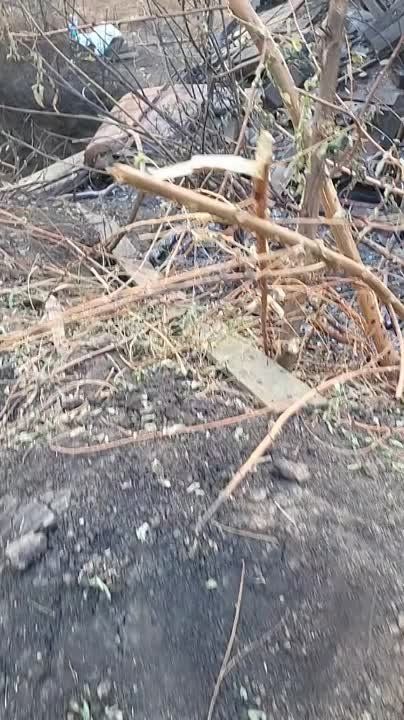 ������ �������: ������������ � ������ �.�. �������-��������� �� �������� ����������� ���������� ���� �-64��