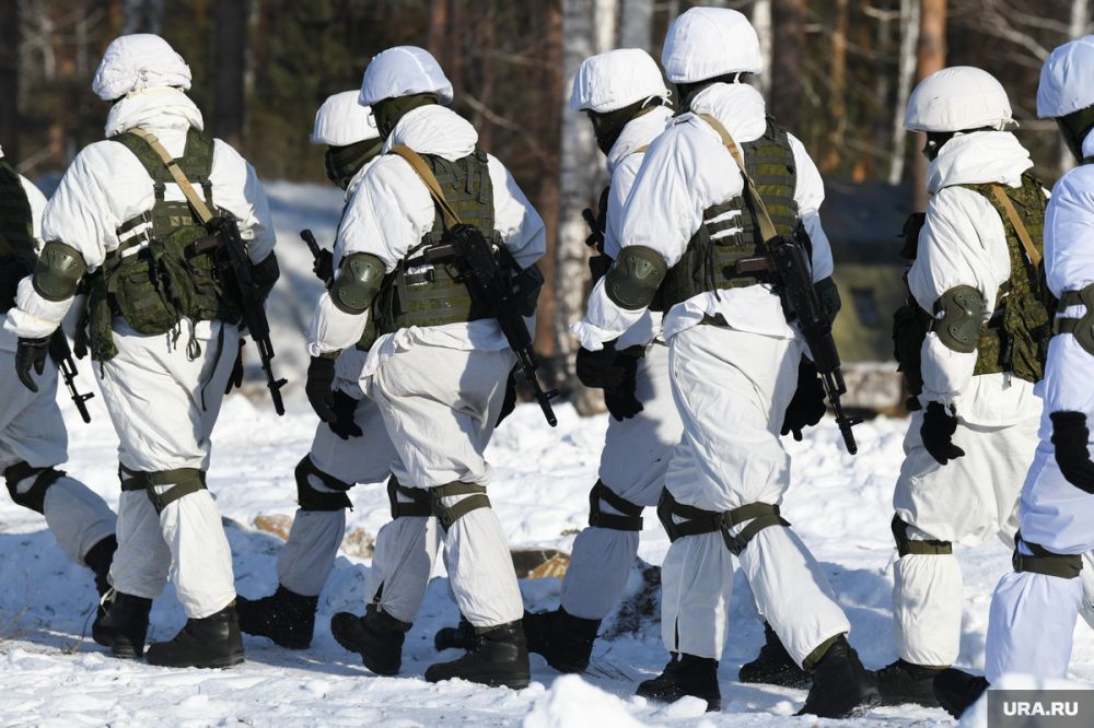 Военкор Ткач: на Украине началось обрушение фронта