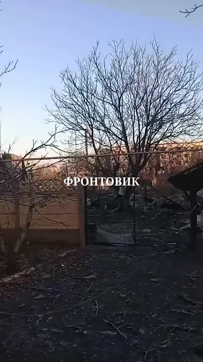 ���������� ����������� �������� ������ �������� ���� �������