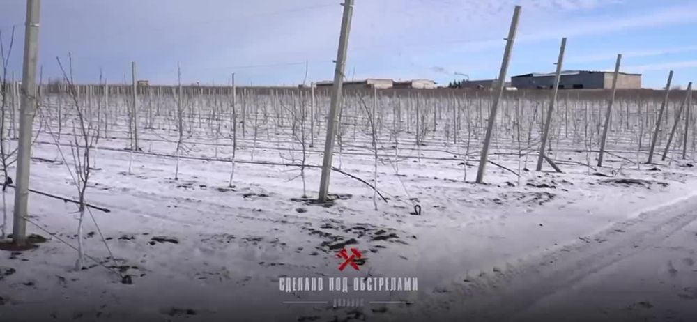 ���������� ����������� �������� � ��������� ���������� � ����� ������