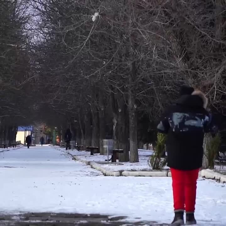 ��������� �������: �� ������ ������������ ������ �������� ������� �� ���������