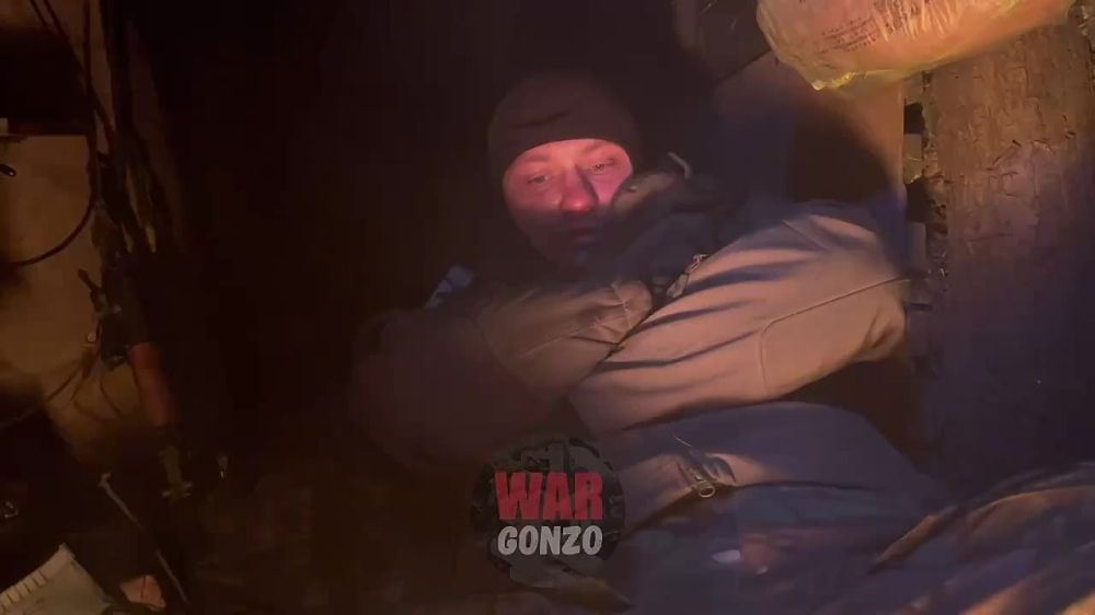WarGonzo: ������������ �� ������ ����������