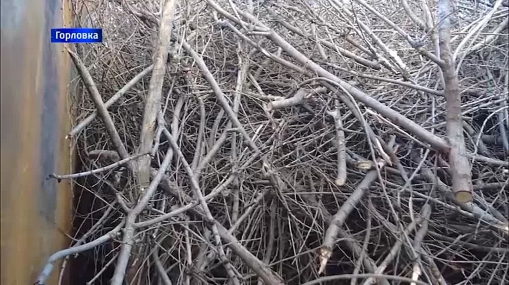 � �������� ����������� ��������� ����������� ������ �� ��������������� ������